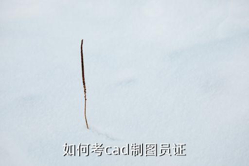 如何考cad制圖員證