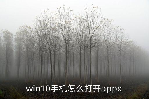 appx文件,eappx怎么用winrar解壓?