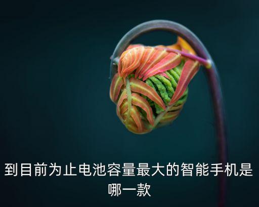 到目前為止電池容量最大的智能手機是哪一款