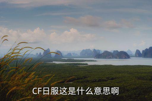 CF日服這是什么意思啊