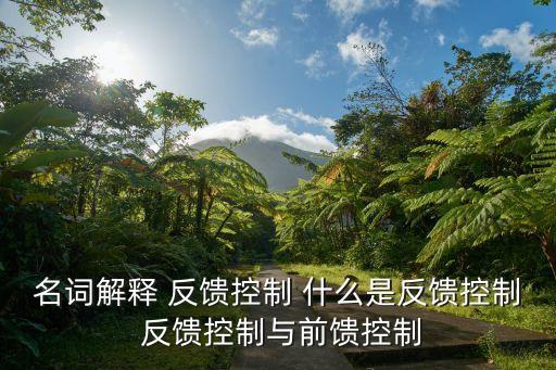 什么是反饋控制，在企業(yè)中什么是反饋控制