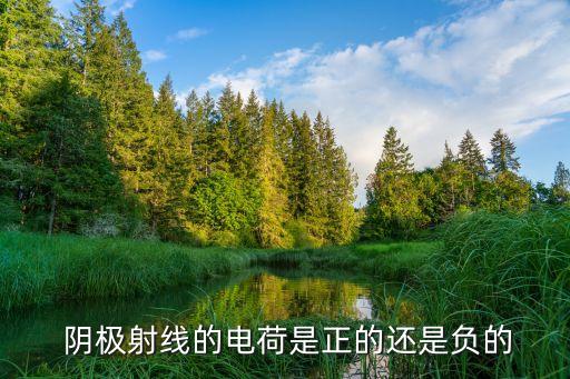  陰極射線的電荷是正的還是負(fù)的