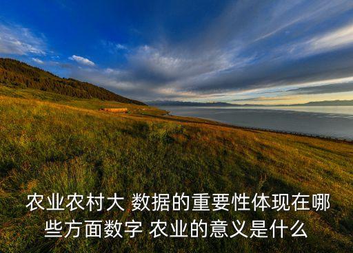  農(nóng)業(yè)農(nóng)村大 數(shù)據(jù)的重要性體現(xiàn)在哪些方面數(shù)字 農(nóng)業(yè)的意義是什么