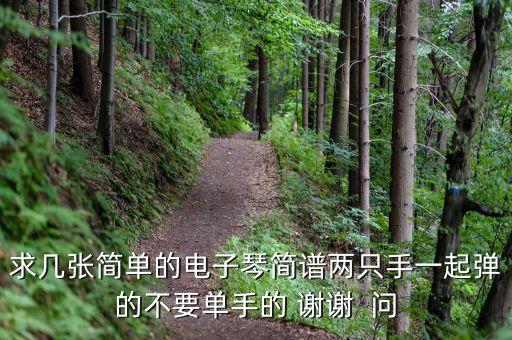 求幾張簡(jiǎn)單的電子琴簡(jiǎn)譜兩只手一起彈的不要單手的 謝謝  問(wèn)
