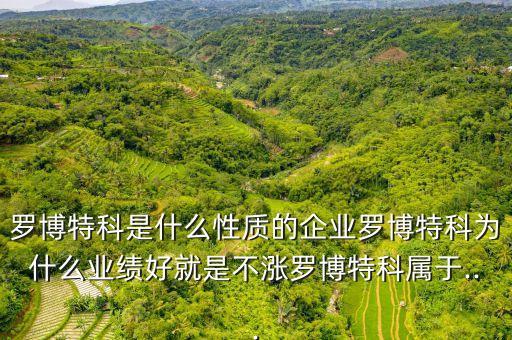羅博特科是什么性質(zhì)的企業(yè)羅博特科為什么業(yè)績(jī)好就是不漲羅博特科屬于...