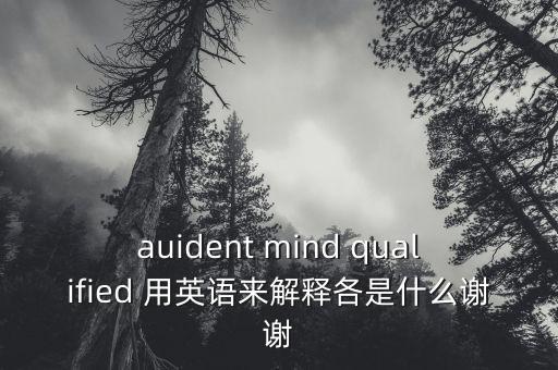 audient，auident是什么意思