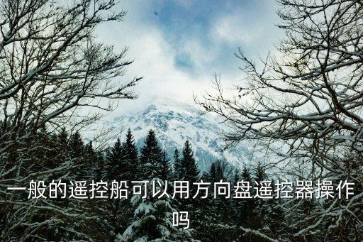 一般的遙控船可以用方向盤遙控器操作嗎