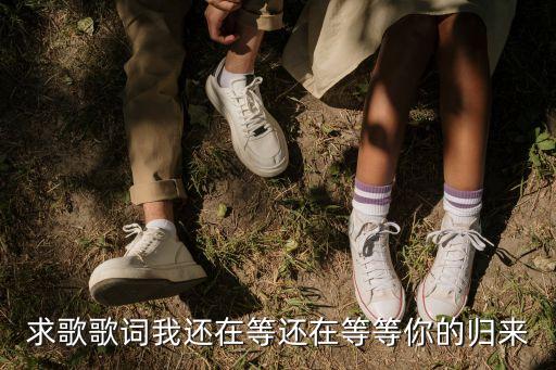 何凱旋，國仇未報壯士老匣中寶劍夜有聲何當(dāng)凱旋宴將士三更雪壓飛孤城
