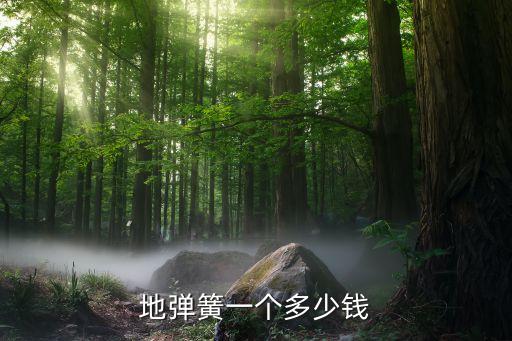 地彈簧一個多少錢