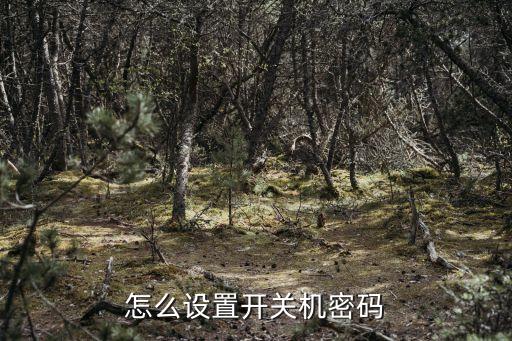 怎么設(shè)置開關(guān)機(jī)密碼