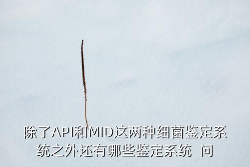 除了API和MID這兩種細(xì)菌鑒定系統(tǒng)之外還有哪些鑒定系統(tǒng)  問