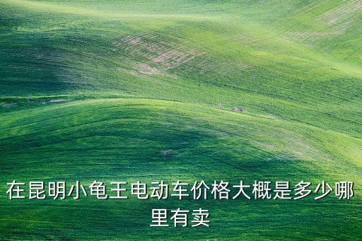 在昆明小龜王電動車價格大概是多少哪里有賣