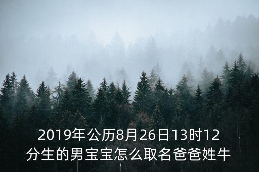 2019年公歷8月26日13時12分生的男寶寶怎么取名爸爸姓牛