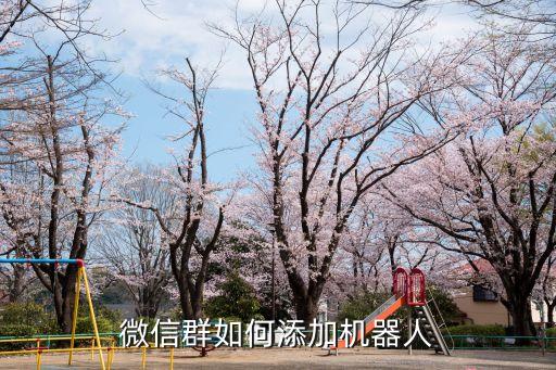 有微信機(jī)器人嗎,微信自動(dòng)聊天機(jī)器人嗎?微信群怎么弄?