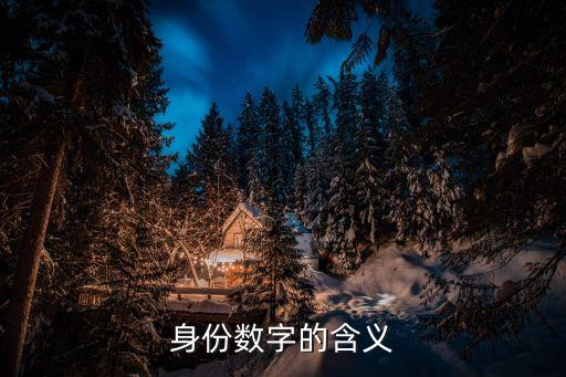 身份數(shù)字的含義