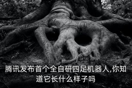 騰訊發(fā)布首個全自研四足機器人,你知道它長什么樣子嗎