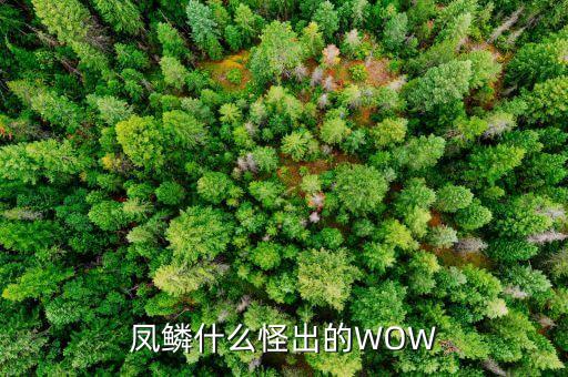 風(fēng)鱗，風(fēng)秫是是什么意思
