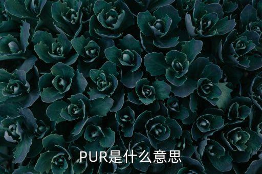 PUR是什么意思
