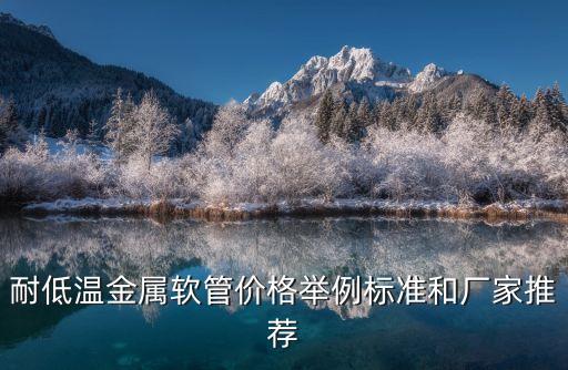 耐低溫金屬軟管價(jià)格舉例標(biāo)準(zhǔn)和廠家推薦