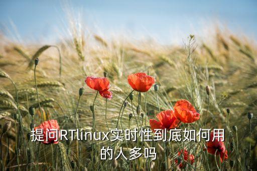提問(wèn)RTlinux實(shí)時(shí)性到底如何用的人多嗎