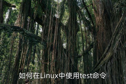 如何在Linux中使用test命令