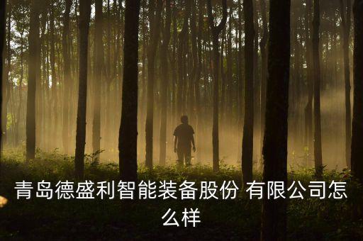 青島德盛利智能裝備股份 有限公司怎么樣