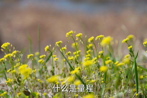 量程，什么是量程