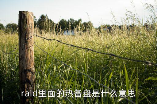 raid里面的熱備盤是什么意思
