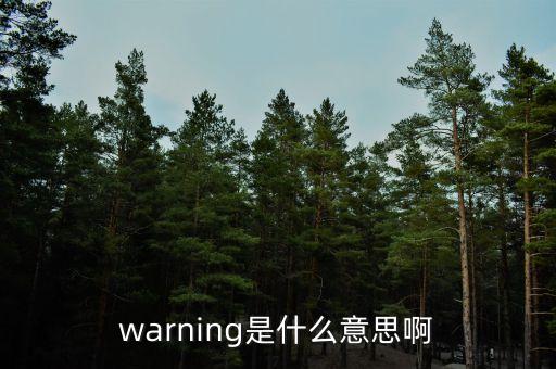 warning，warning是什么意思啊