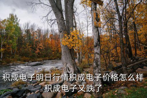 積成電子明日行情積成電子價(jià)格怎么樣積成電子又跌了