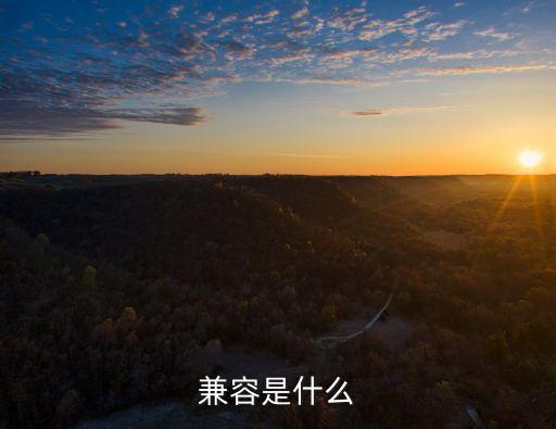 兼容，計算機中的兼容是什么意思