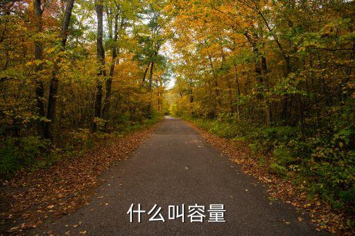 什么叫容量