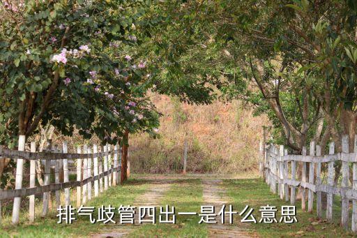 排氣歧管四出一是什么意思