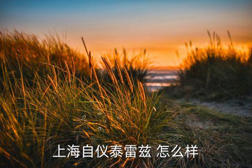 上海自儀泰雷茲 怎么樣