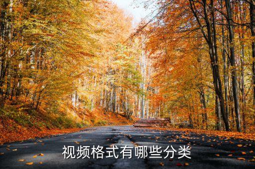 視頻格式有哪些，常見(jiàn)的視頻文件格式有哪些