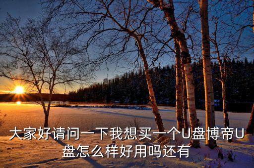 博帝，博帝內(nèi)存怎么樣