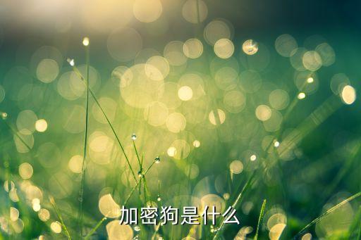加密狗，加密狗是什么
