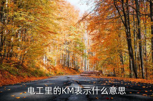 自動(dòng)化設(shè)備kpr是啥,輸入量達(dá)規(guī)定要求后繼電器自動(dòng)開關(guān)