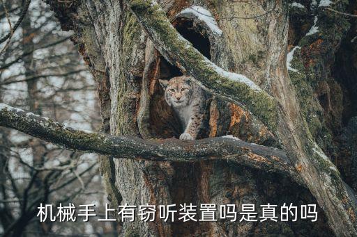 機(jī)械手上有竊聽裝置嗎是真的嗎