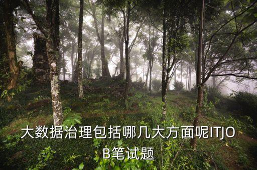 大數(shù)據(jù)治理，大數(shù)據(jù)治理包括哪幾大方面呢ITJOB筆試題