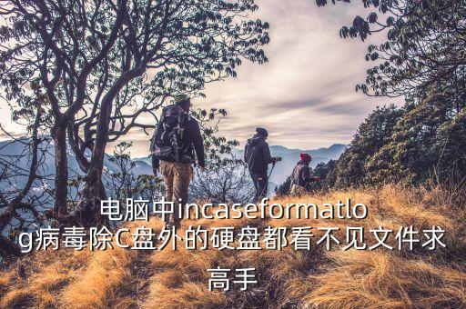 電腦中incaseformatlog病毒除C盤外的硬盤都看不見文件求高手
