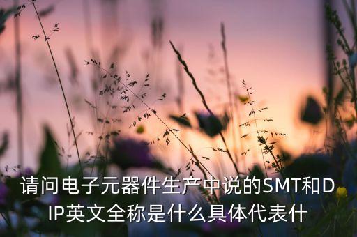 請問電子元器件生產(chǎn)中說的SMT和DIP英文全稱是什么具體代表什