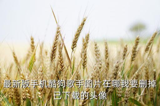 華為河圖，華為河圖是不是只有華為手機(jī)可以用他是會(huì)推出一個(gè)類似于軟件一樣