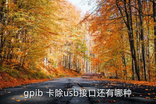 gpib 卡除usb接口還有哪種