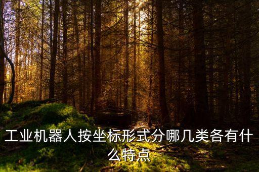 工業(yè)機(jī)器人按坐標(biāo)形式分哪幾類各有什么特點(diǎn)