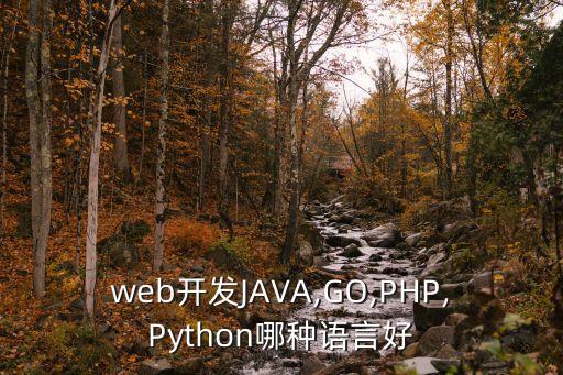 rust 大數(shù)據(jù),這些語(yǔ)言你準(zhǔn)備好了嗎?