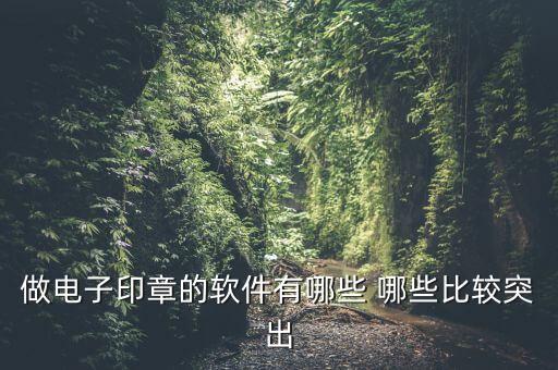 做電子印章的軟件有哪些 哪些比較突出