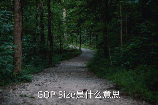 gop率，GOP值指的是什么