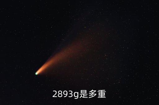 2893g是多重