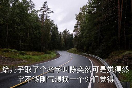 給兒子取了個名字叫陳奕然可是覺得然字不夠剛氣想換一個你們覺得